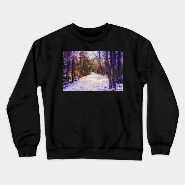 Hemlock Ravine Park Crewneck Sweatshirt by kenmo